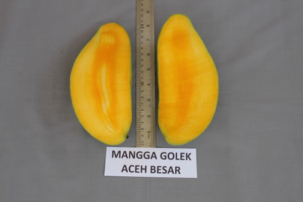 Mangga Golek Aceh